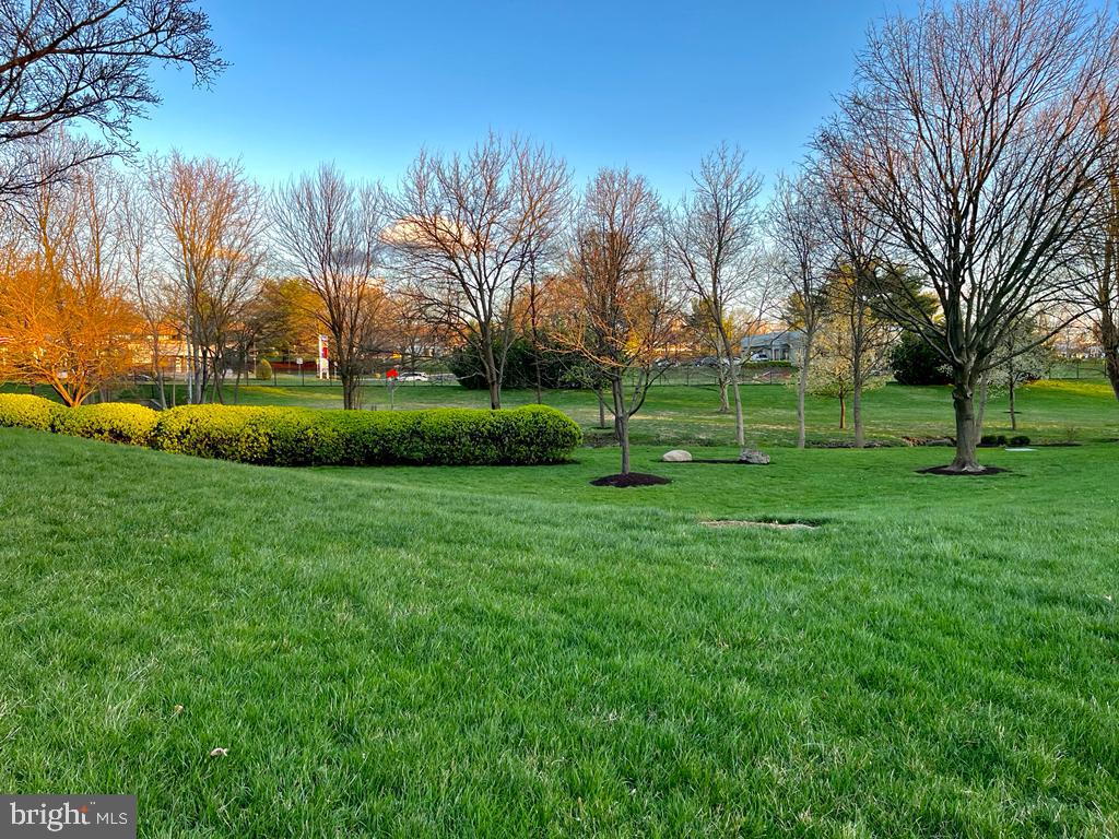 WILLOW WOOD - Residential