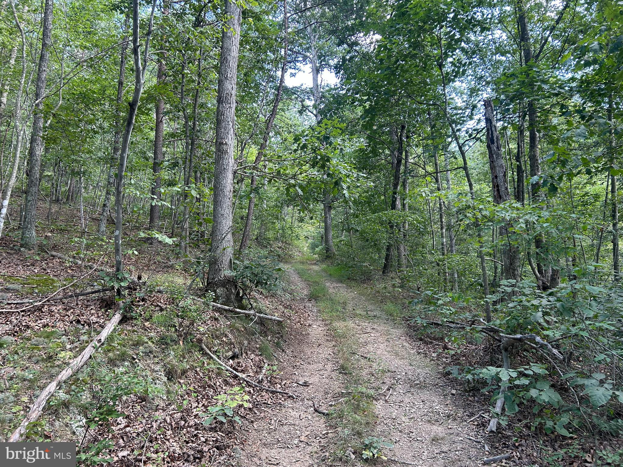 GUN BARREL LANE
