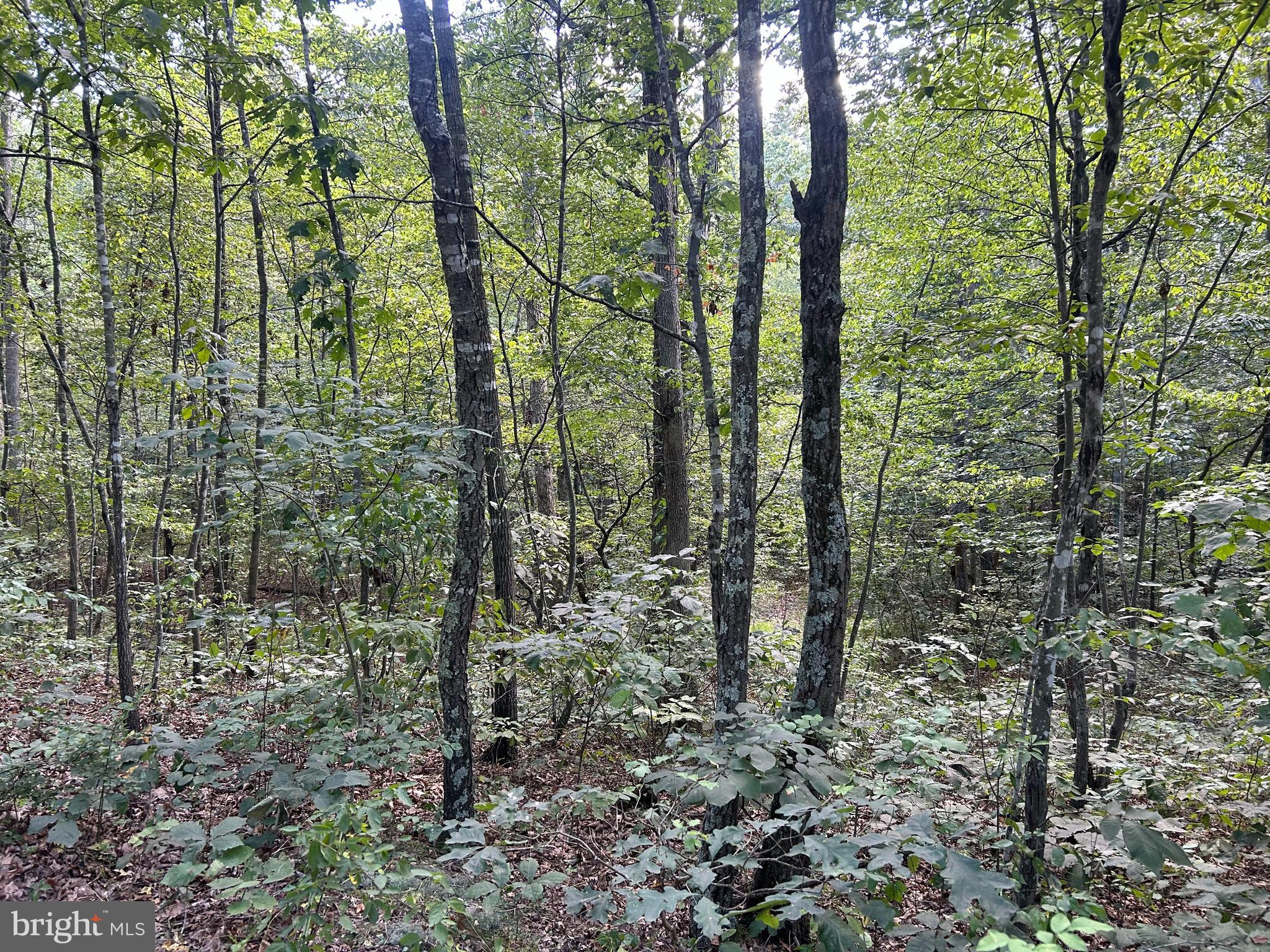 GUN BARREL LANE
