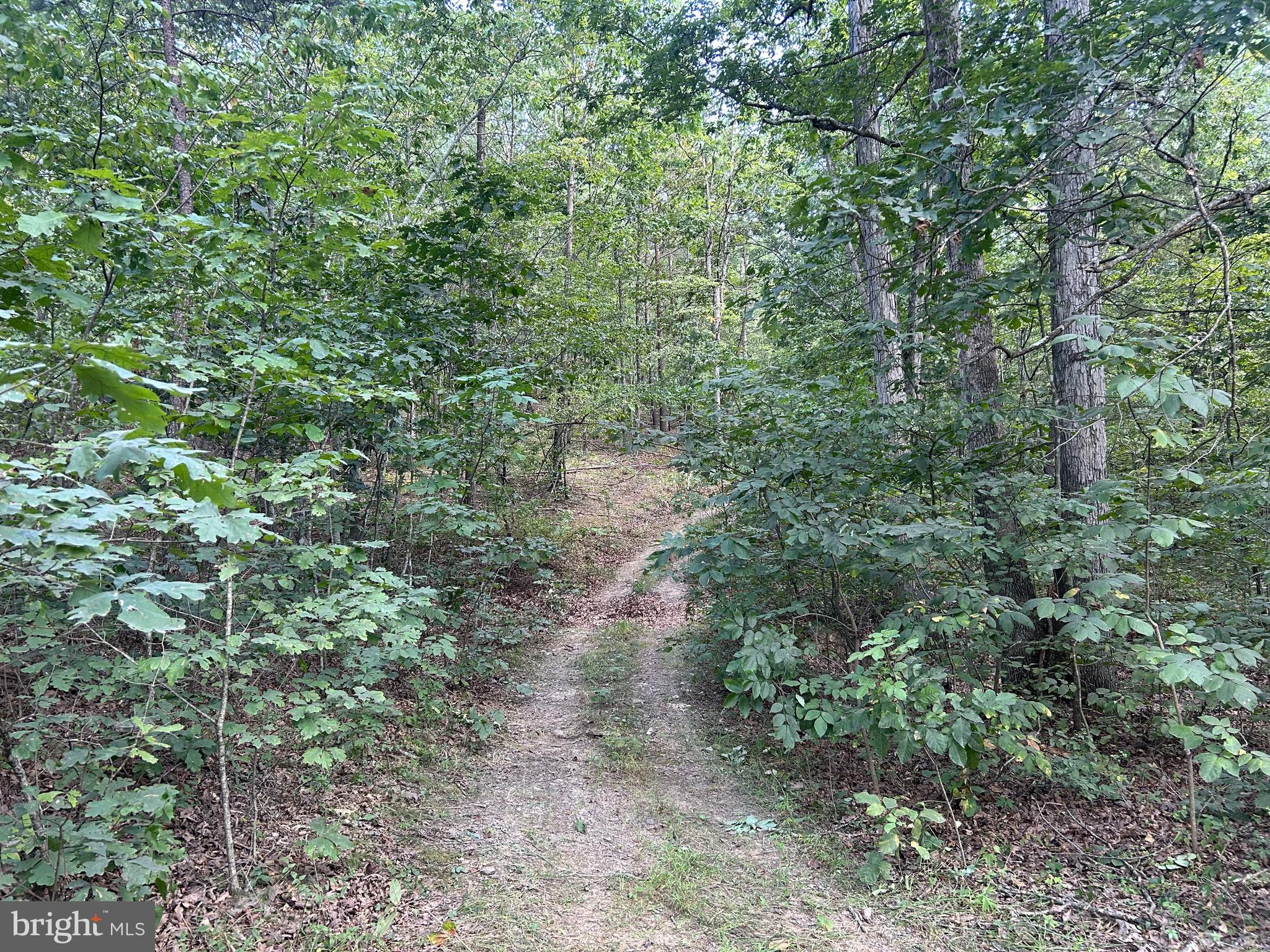 GUN BARREL LANE