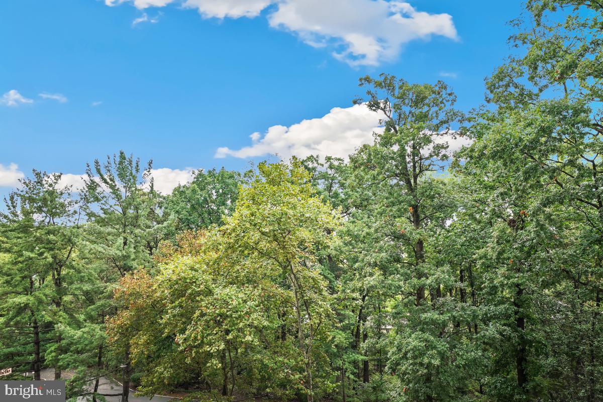 MONTEBELLO - Residential