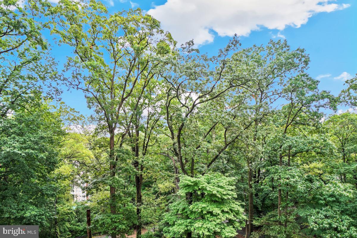 MONTEBELLO - Residential