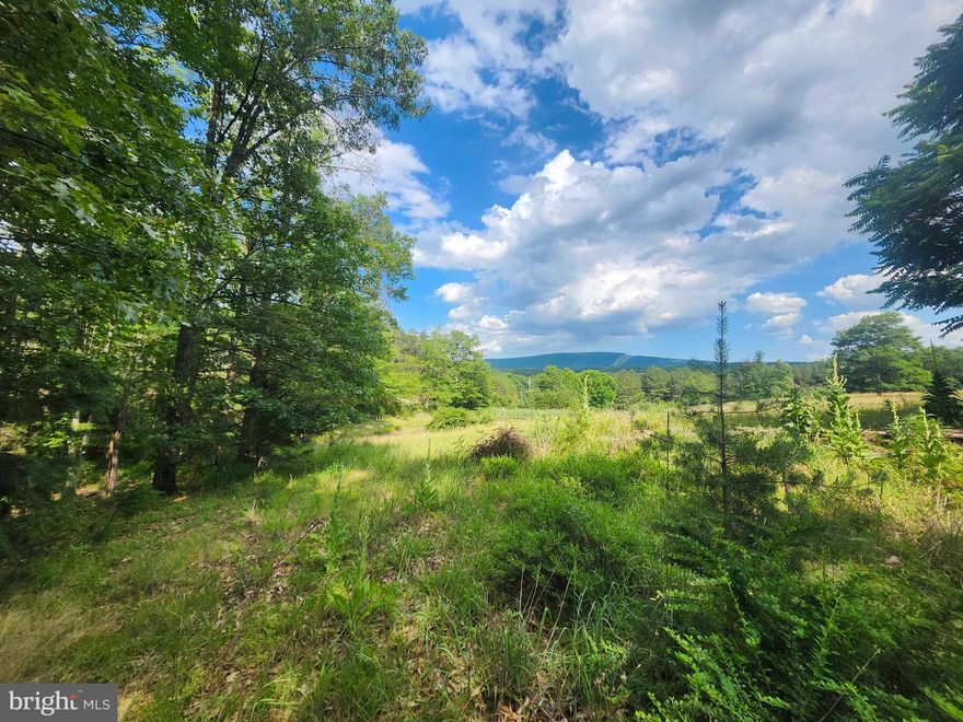 Located in the countryside of High View, West Virginia, is this 2.32-acre parcel of land, eagerly awaiting its new owner. This easily traversable lot offers an opportunity to exchange the city life for some space and freedom!  boasting ample privacy and a quaint, meandering wet weather stream.  With its generous size, easy level terrain and quiet surroundings, this lot presents a canvas of possibilities for a single-family home build. Imagine waking up each morning to breathtaking views of the great WV mountains.  A small wet weather stream traverses the property as a bonus!  The relaxed lifestyle and the subdivision's gentle restrictions allow for flexibility in housing options. Whether you envision a traditional single-family dwelling or prefer the convenience of a mobile home, this property accommodates both, with mobile homes up to 24' in width permitted on a permanent foundation. Additionally, the freedom to utilize the land for recreational purposes, such as camping, adds to the charm of this parcel.  Navigating through Dry Run SD's well-maintained roads and reaching this property is a breeze.  A sign is on the lot, visit today and seize the chance to transform this property into your dream retreat in High View, WV.