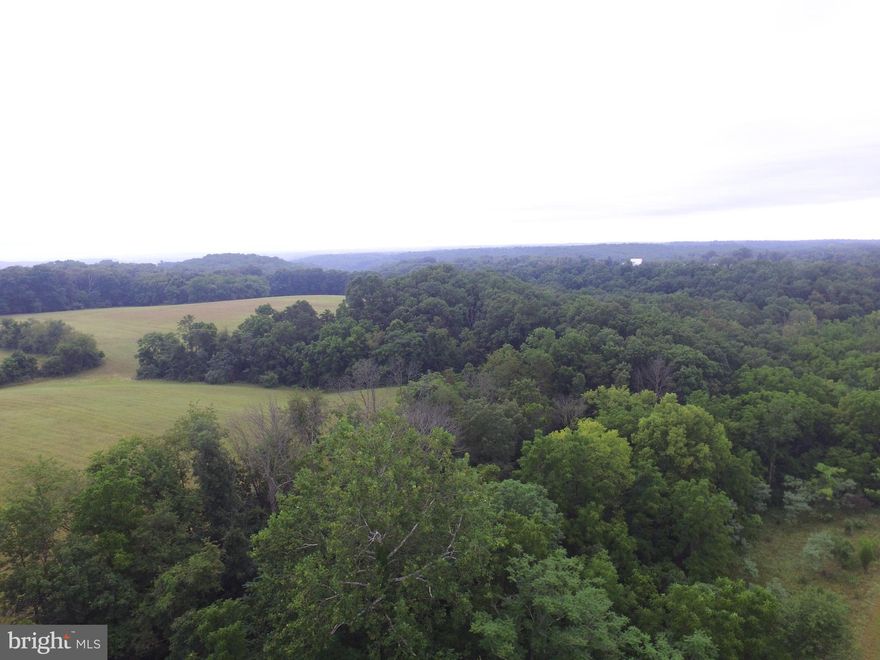 Beautiful 19.64 ac of land to develop your dream come true with privacy! Buyer is to perform due diligence on obtaining further info on potential subdividing, verification of lot layout. 30' right of way for development of driveway/road to this lot.  Health Dept letter on file regarding perc. Prop corners have been marked. This land is heavily wooded in the middle with open fields on each side.