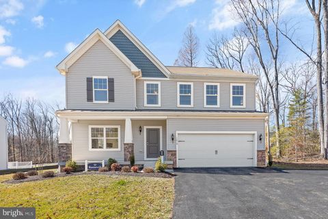 TBD PINE NEEDLE COURT CONOWINGO MD 21918