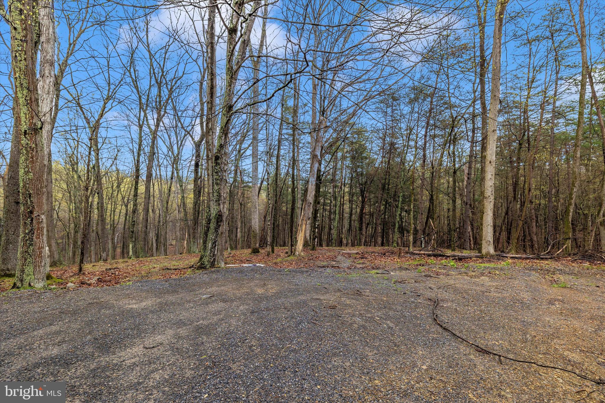 BEAVER DAM WOODS - Land