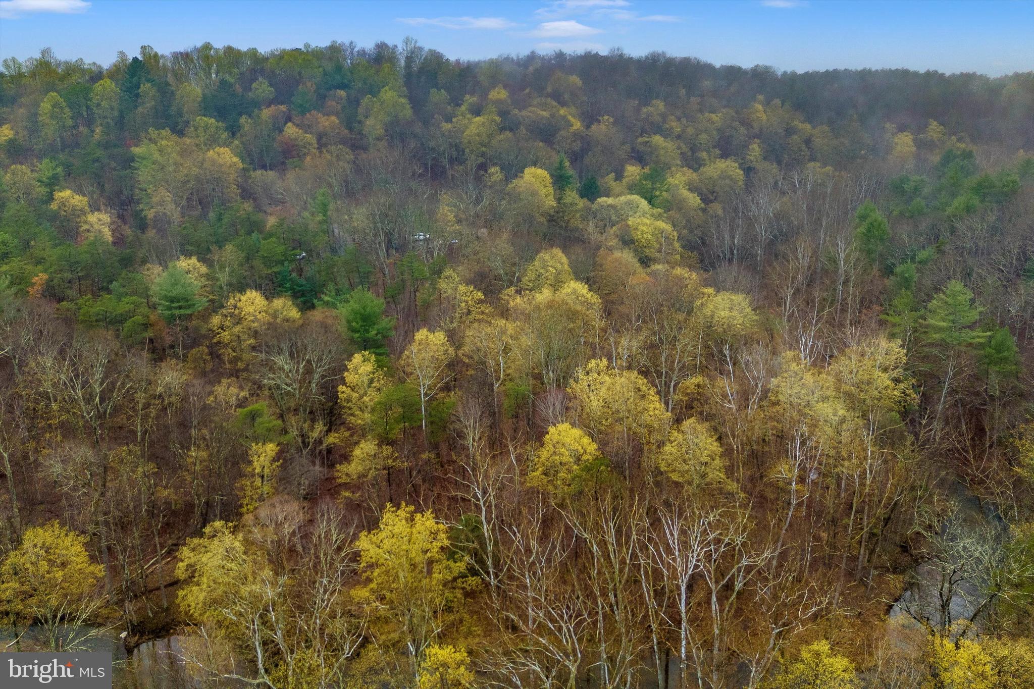 BEAVER DAM WOODS - Land