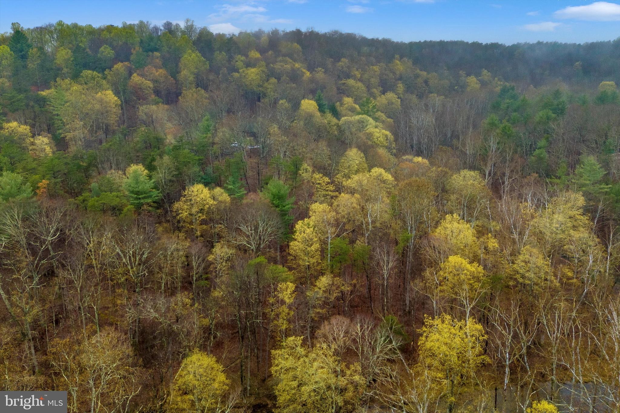 BEAVER DAM WOODS - Land
