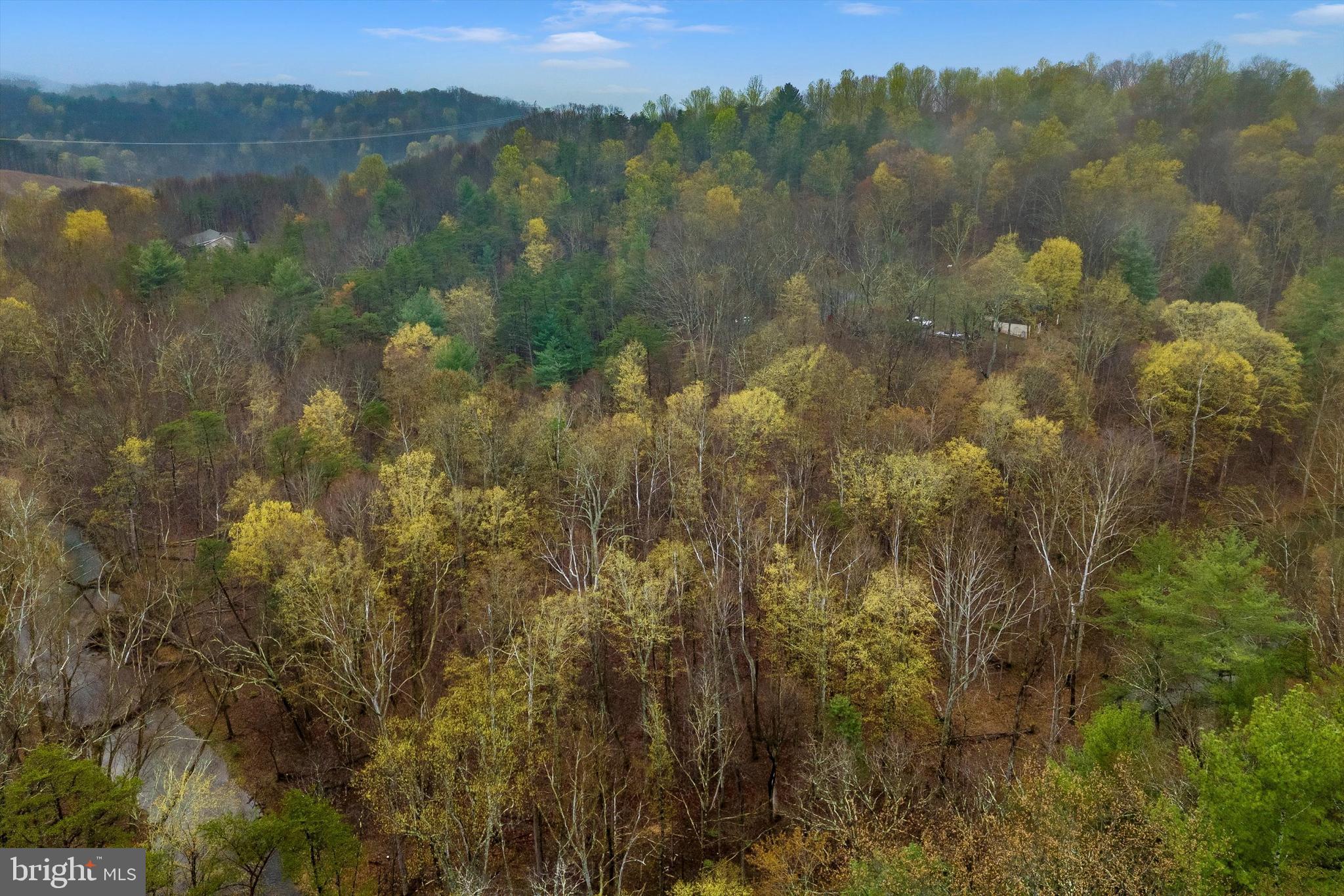 BEAVER DAM WOODS - Land