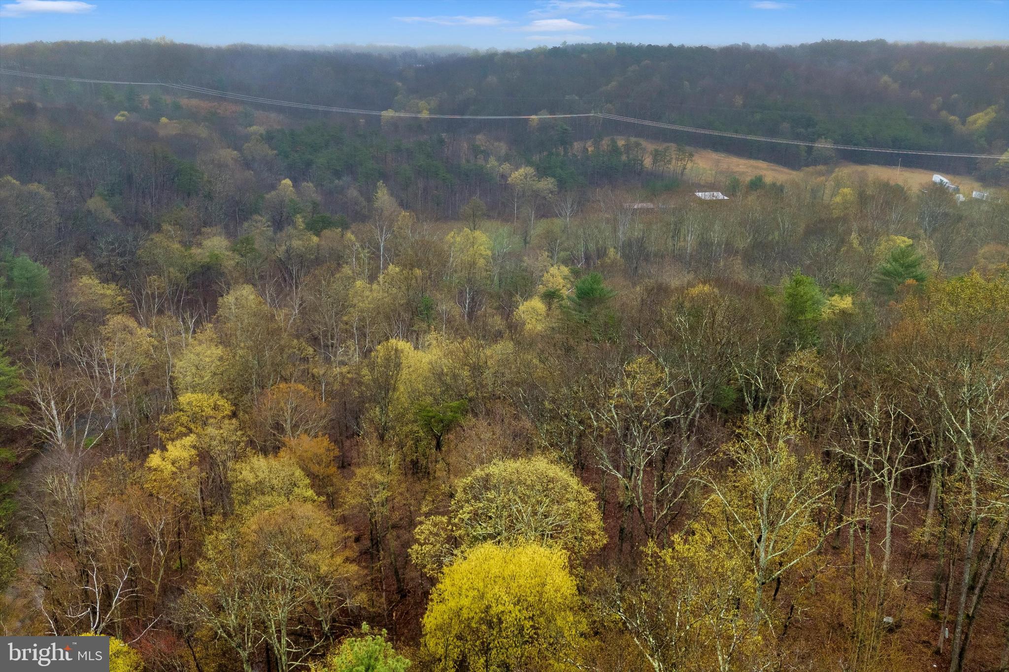 BEAVER DAM WOODS - Land