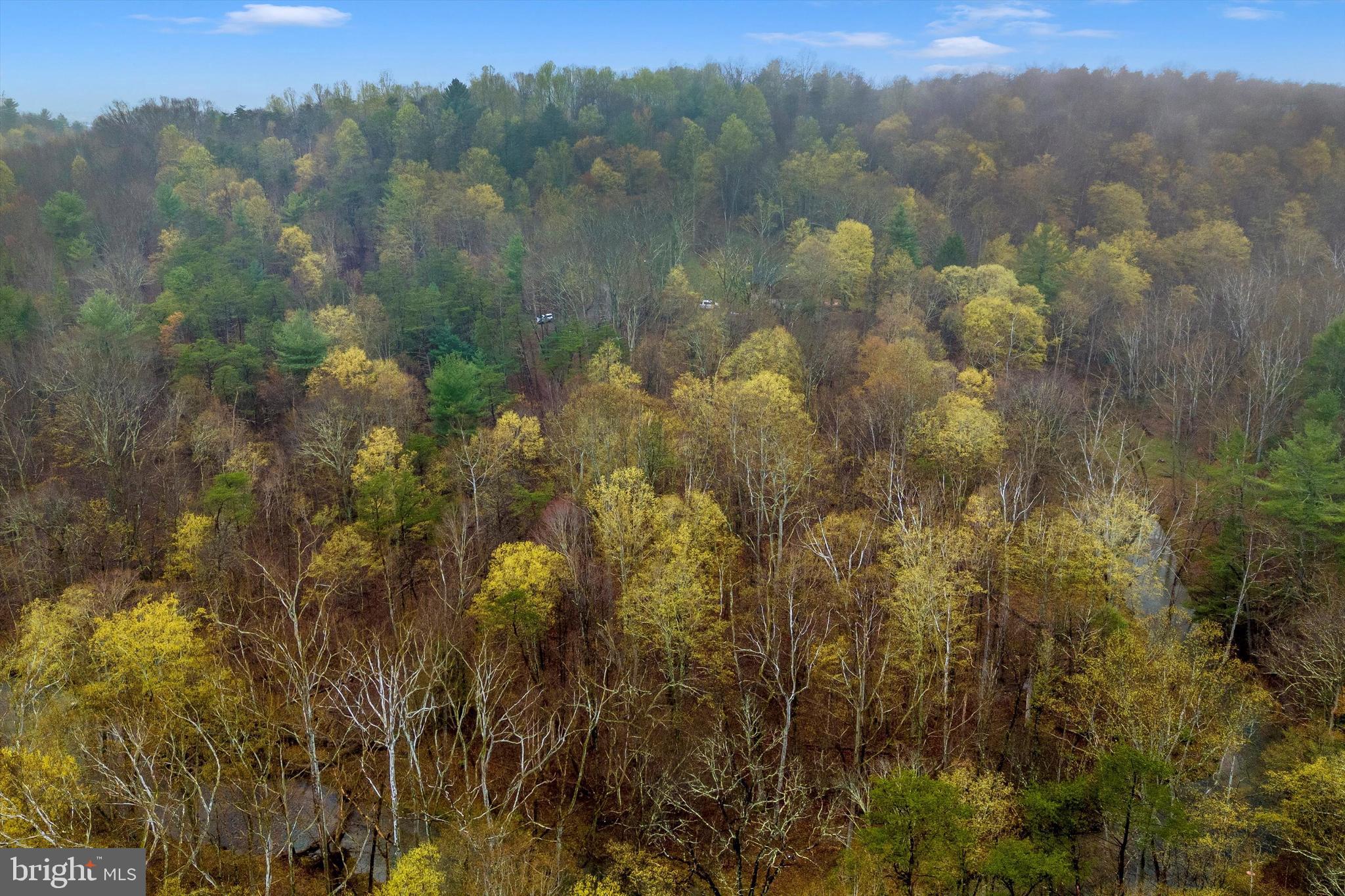BEAVER DAM WOODS - Land