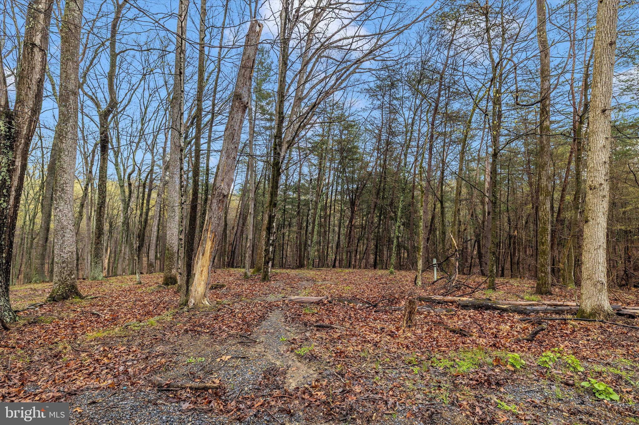 BEAVER DAM WOODS - Land