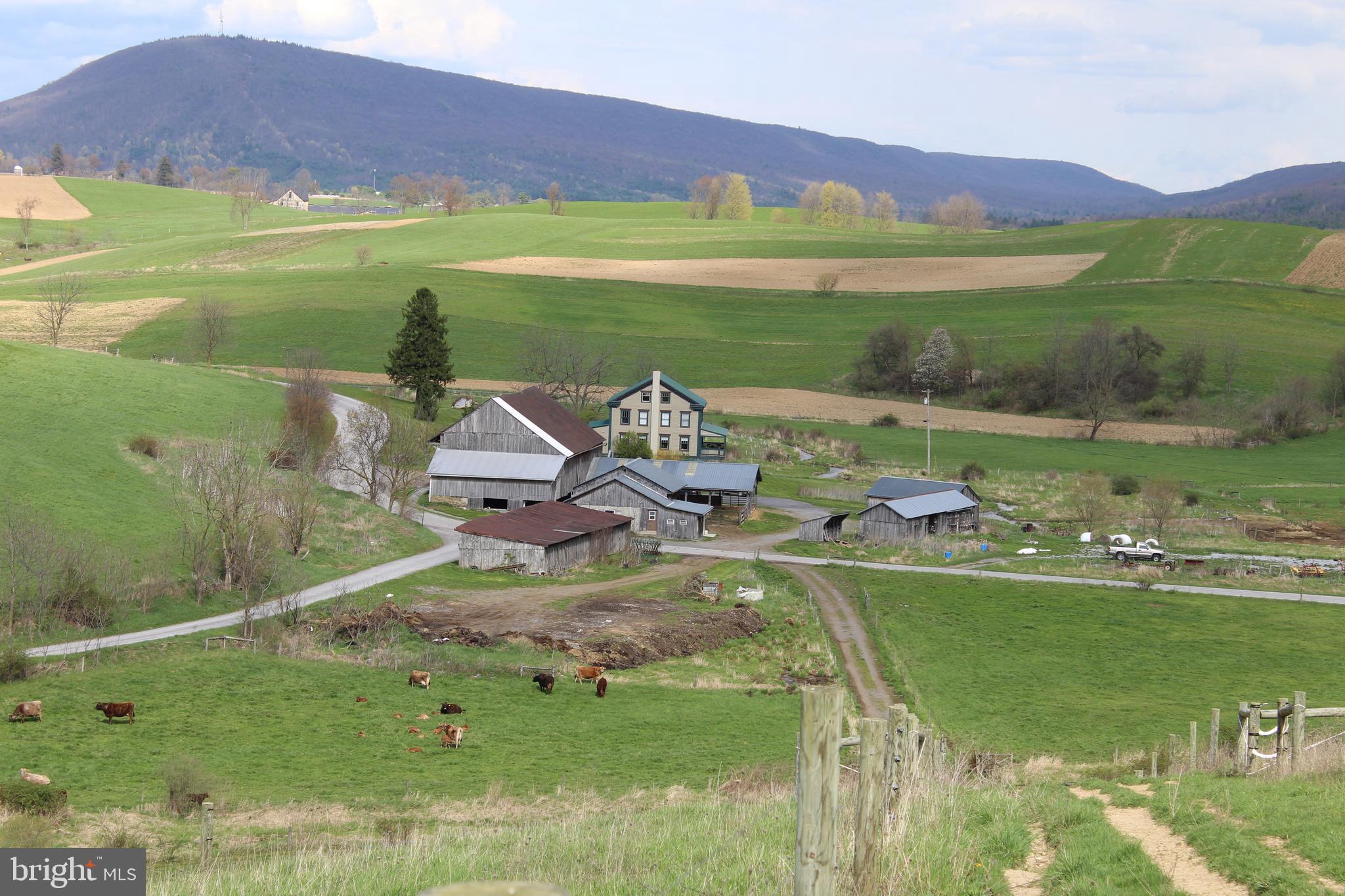NONE AVAILABLE - Farm