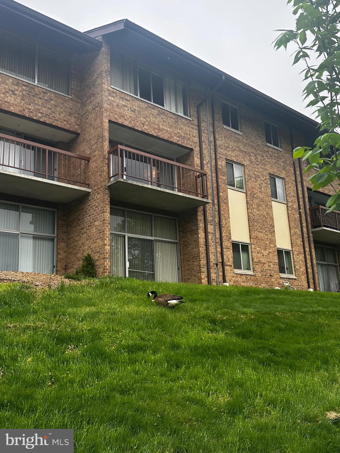NORMANDIE ON THE LAKE - Residential