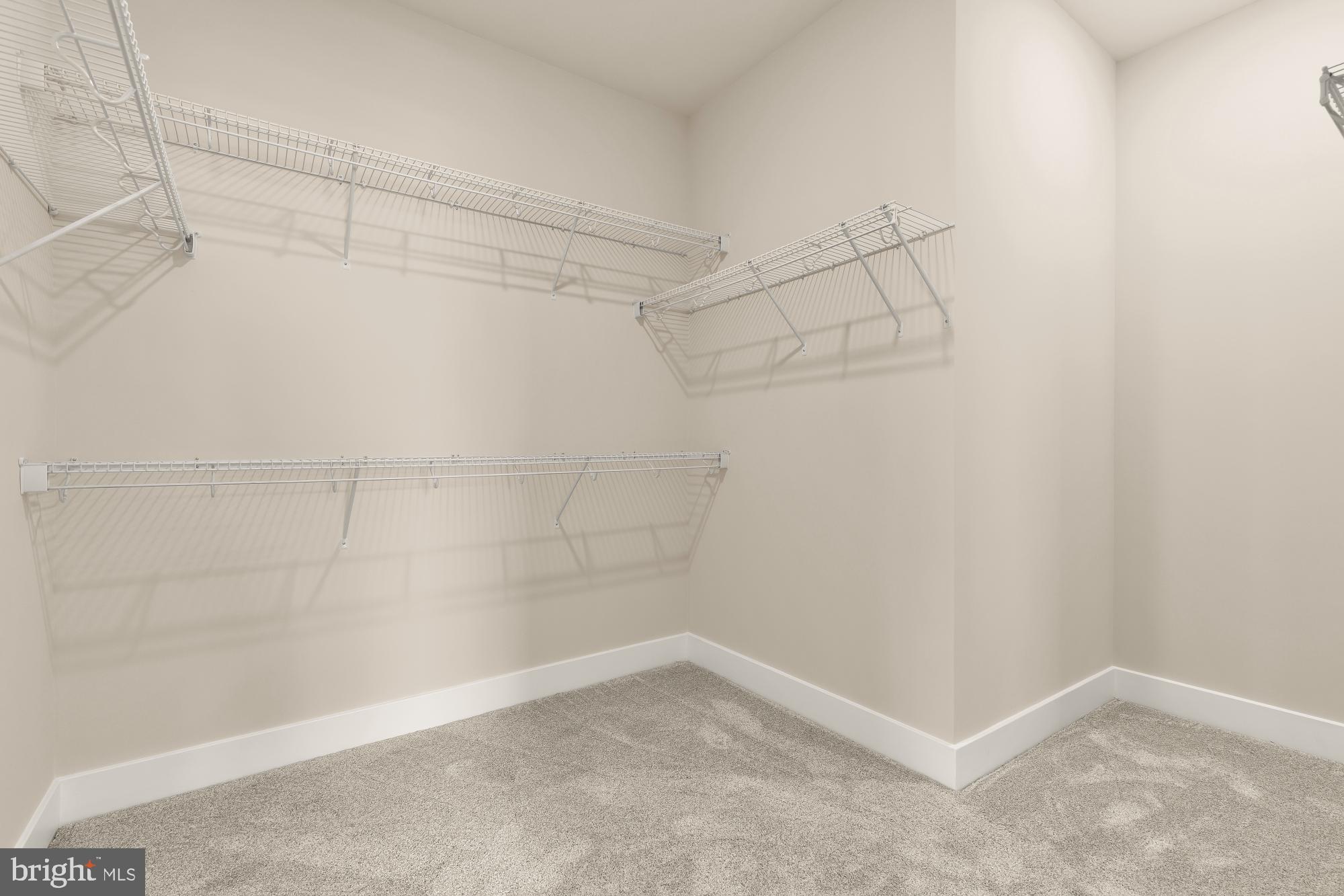 BLUE STREAM - Residential