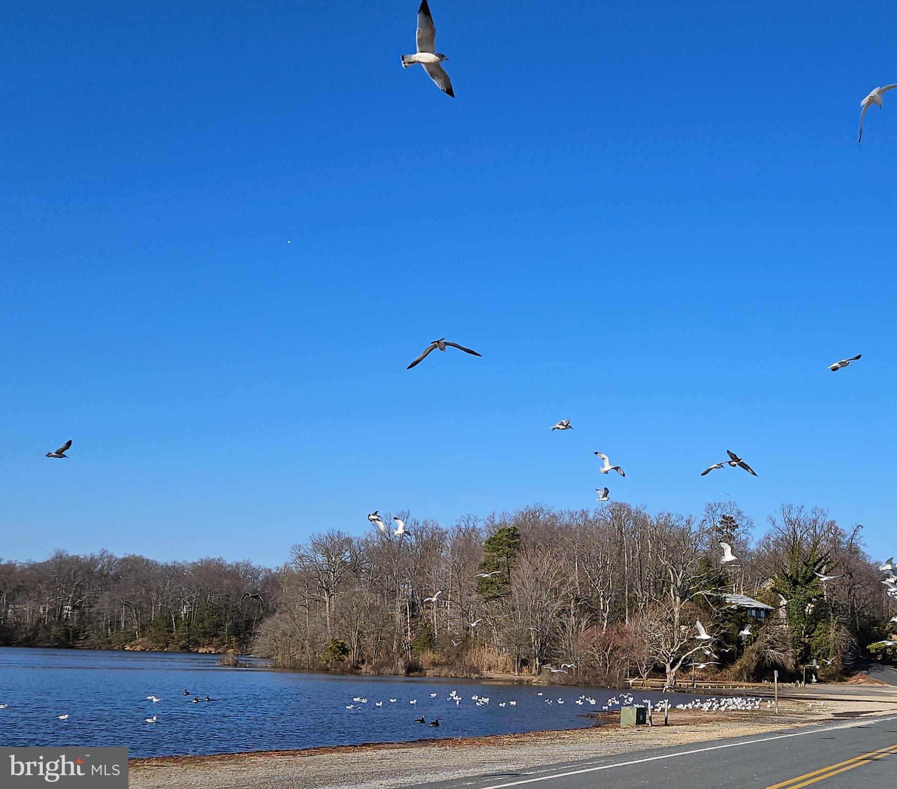 CHESAPEAKE RANCH ESTATES - Residential