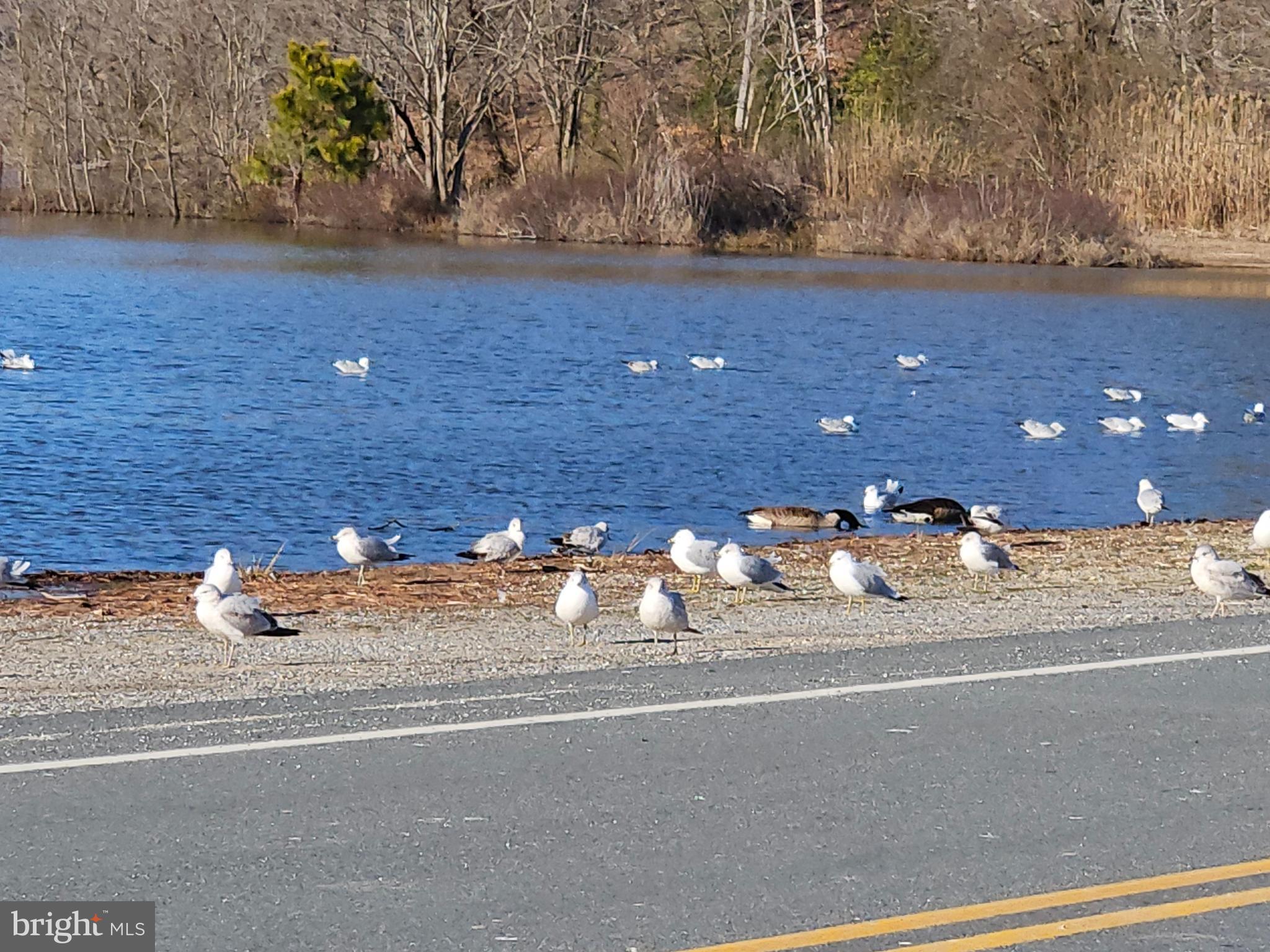 CHESAPEAKE RANCH ESTATES - Residential