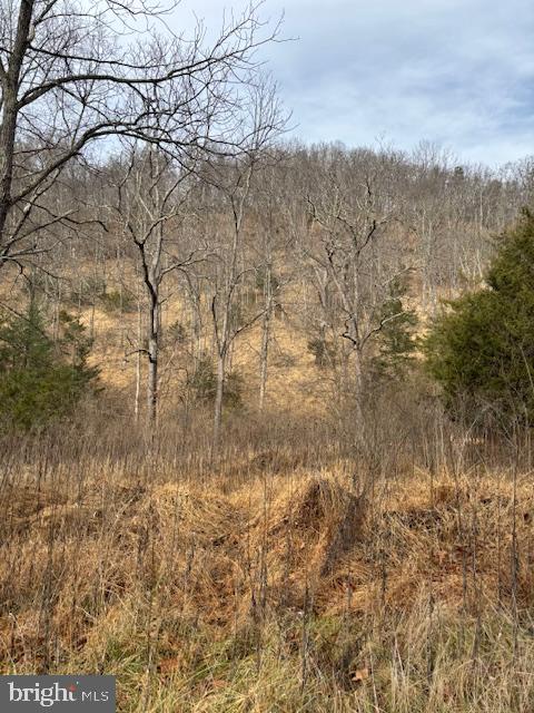 Lot 14 WILDLIFE DRIVE