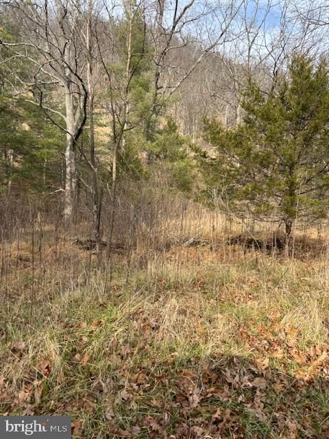 WILDLIFE LOST CITY WV 26810