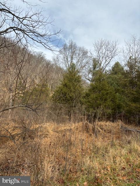 Lot 14 WILDLIFE DRIVE