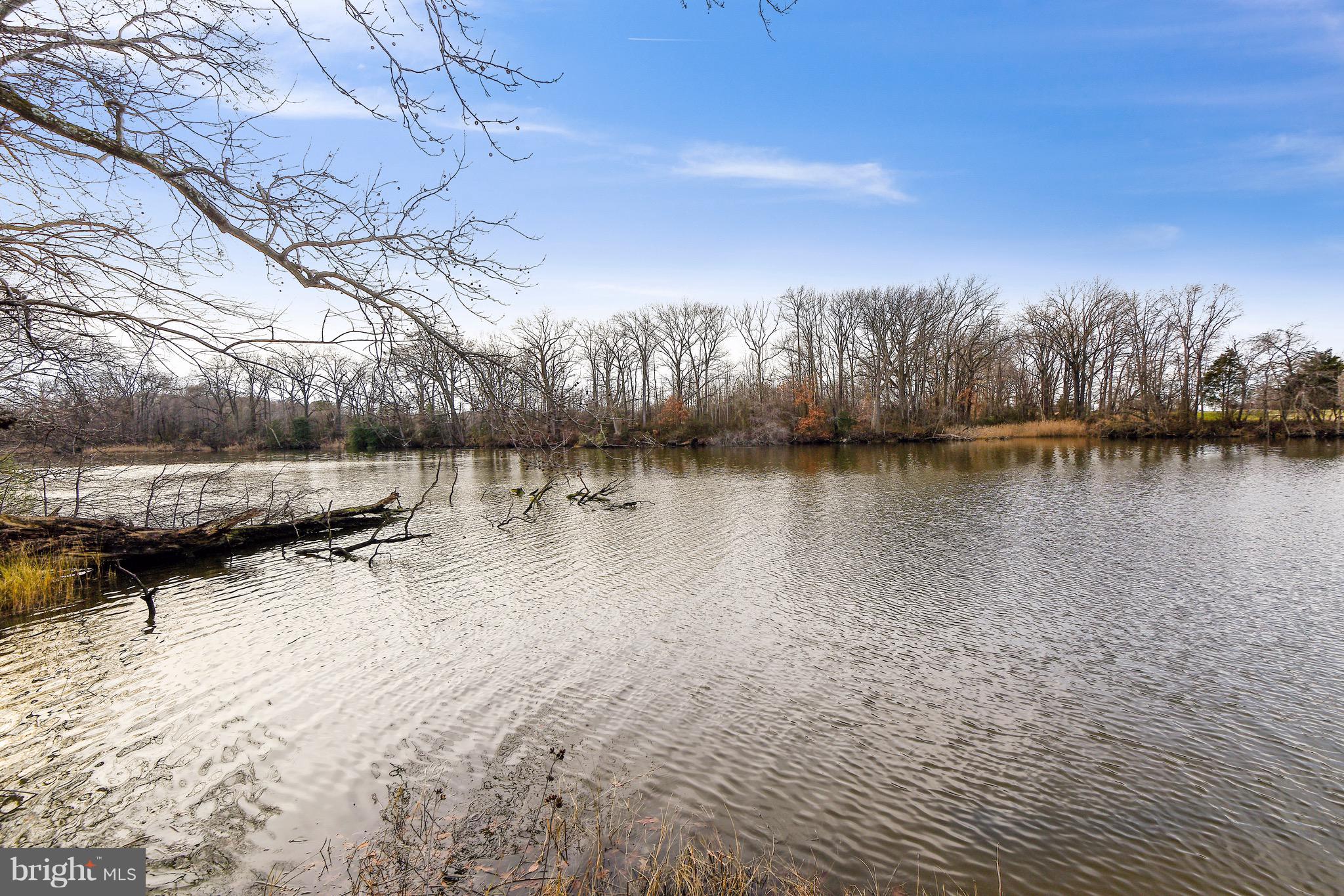 QUEENSTOWN HARBOR - Residential