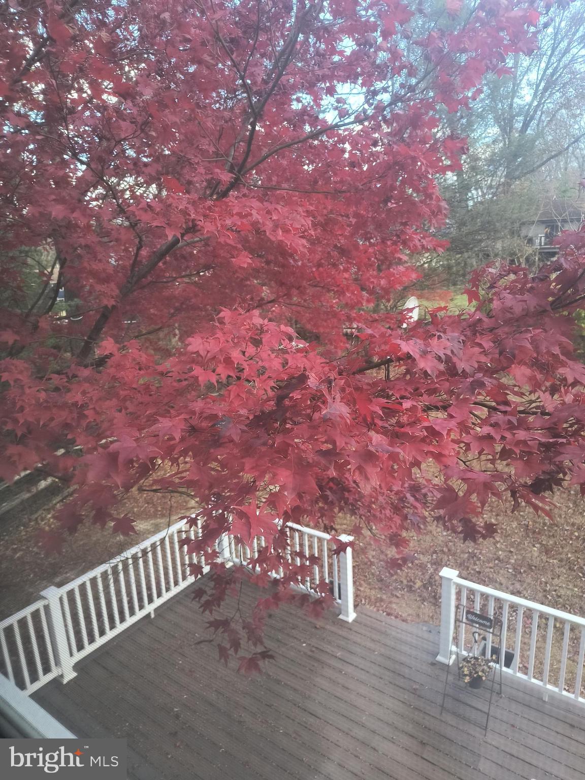 ANDORRA - Residential