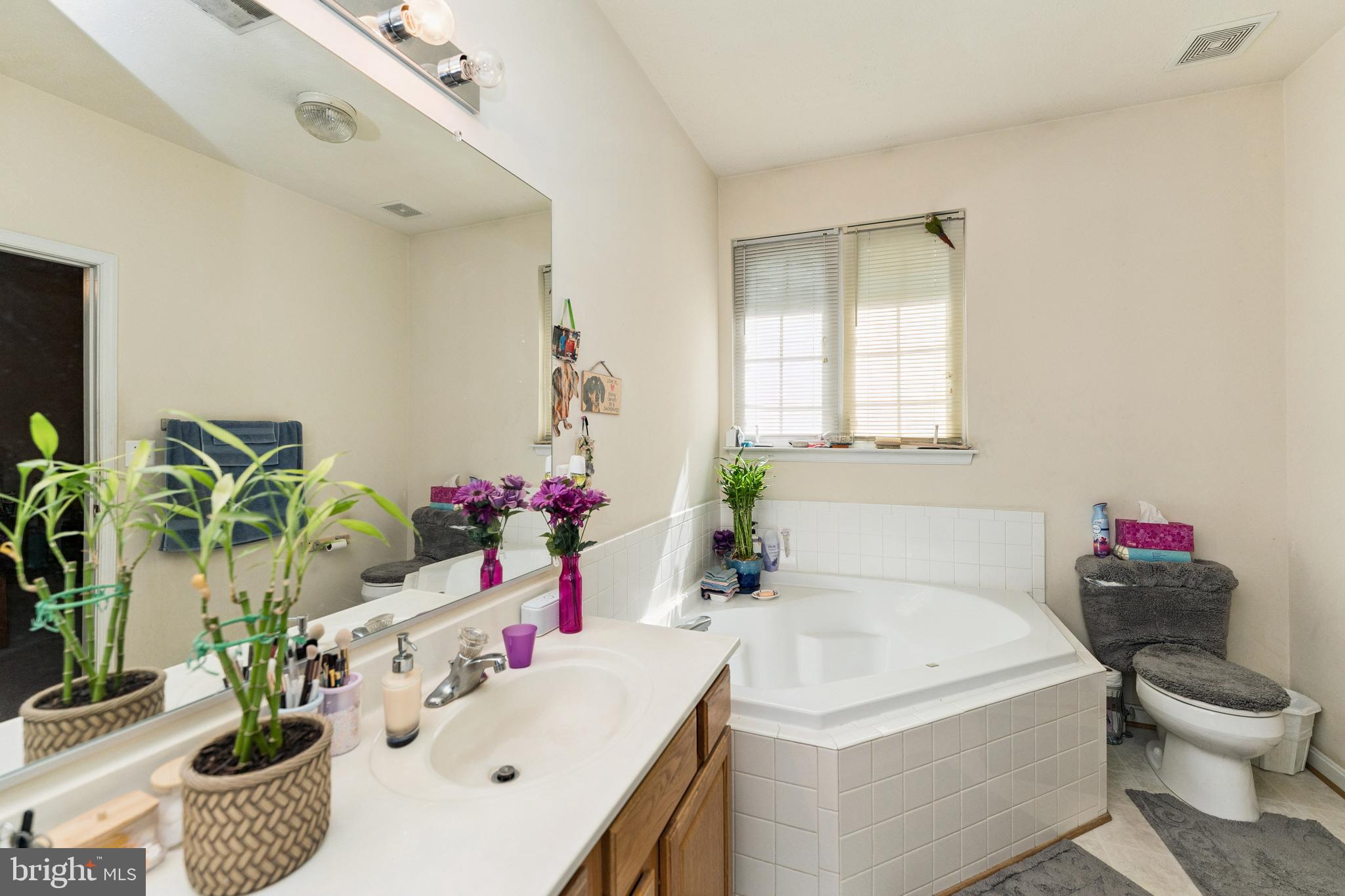 CLIFFTON ON THE POTOMAC - Residential