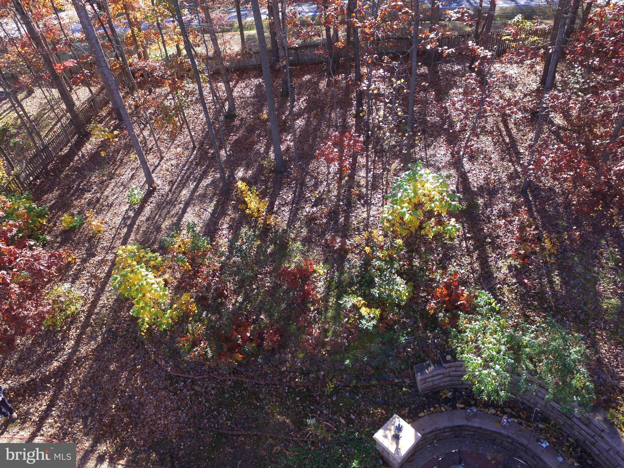 KINGSWOOD - Residential