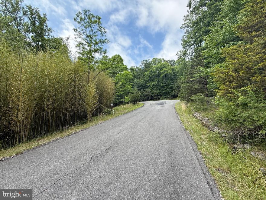 4.11-acre lot backing Cacapon State Park land. With just a few minute drive- golf, two lakes, hiking trails, and a restaurant available at Cacapon State Park. This property is perc approved for septic and sits at the end of a paved cul-de-sac for extra privacy. A dirt/gravel road leads onto the lot, making access easy while still keeping that secluded, wooded feel. A great spot for your dream home or getaway cabin with nature right in your backyard.