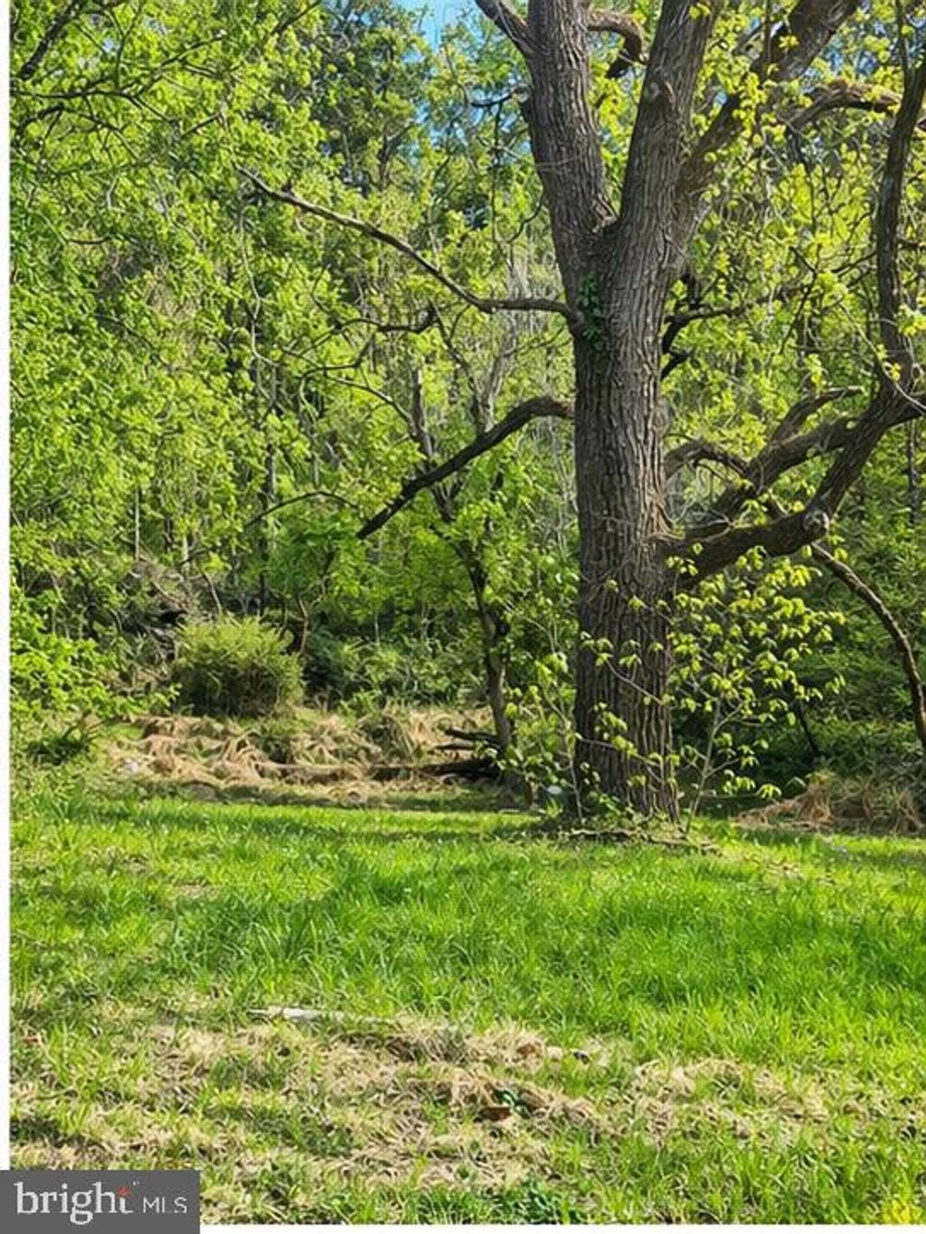 Photo of 9422 Little Skyline Drive, ORANGE, VA 22960 (MLS # VAOR2013532)