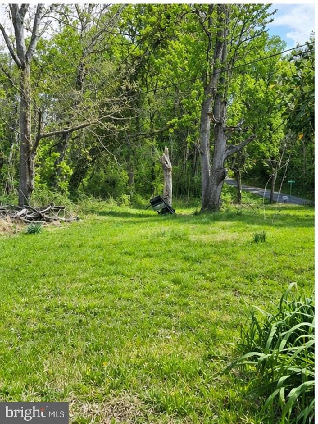 Photo of 9422 Little Skyline Drive, ORANGE, VA 22960 (MLS # VAOR2013532)