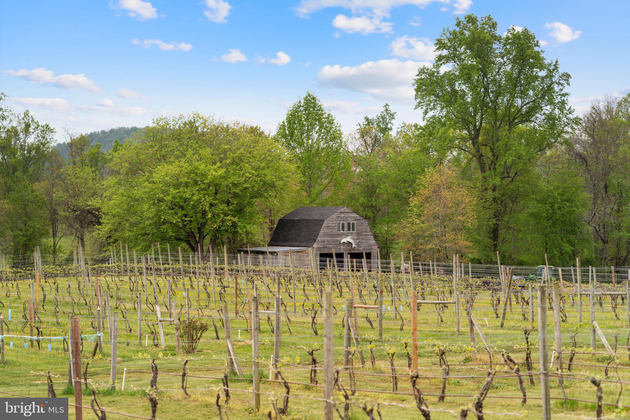 NONE AVAILABLE - Farm