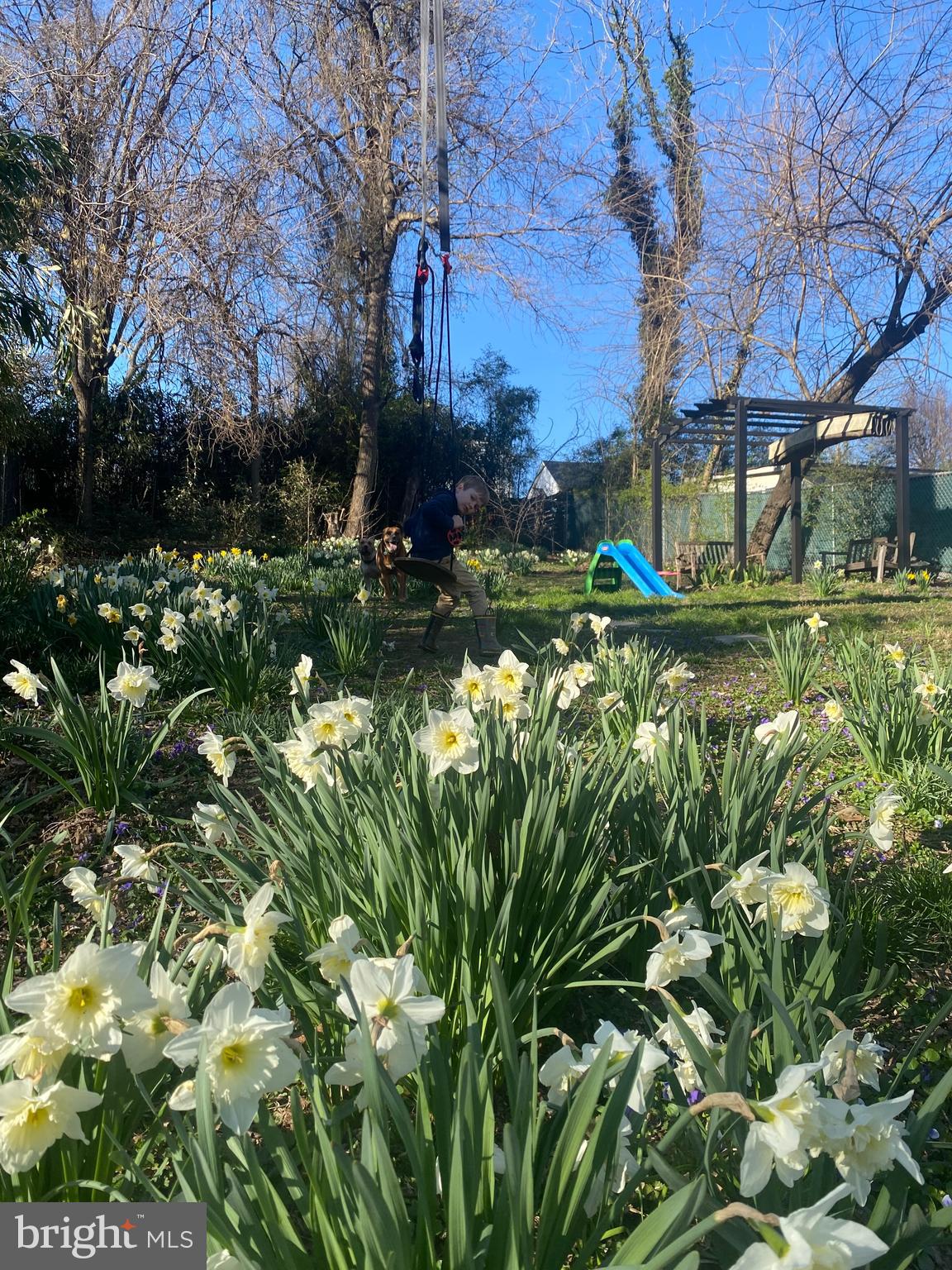 SILVER SPRING - Residential