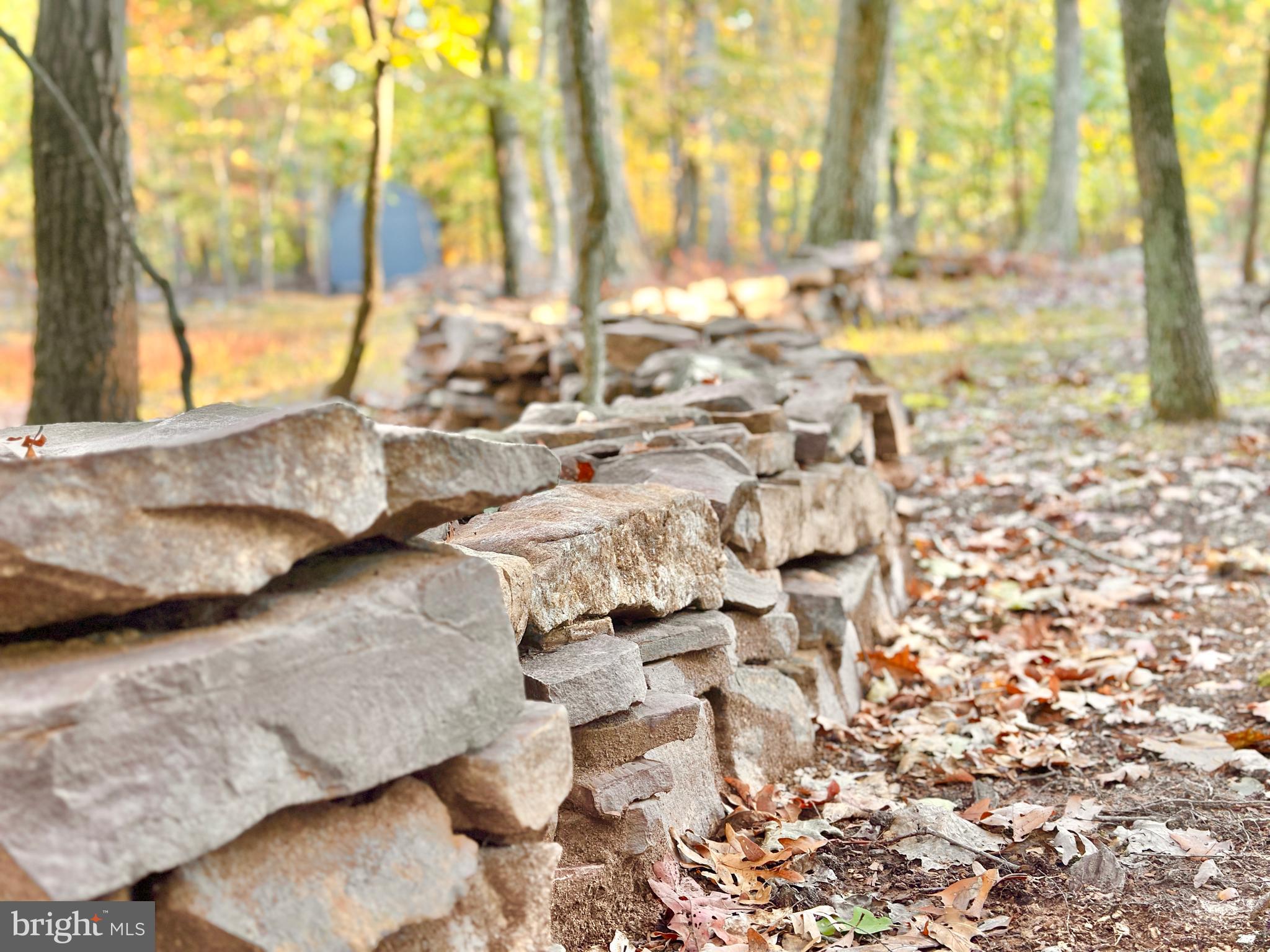 THE WOODS - Residential