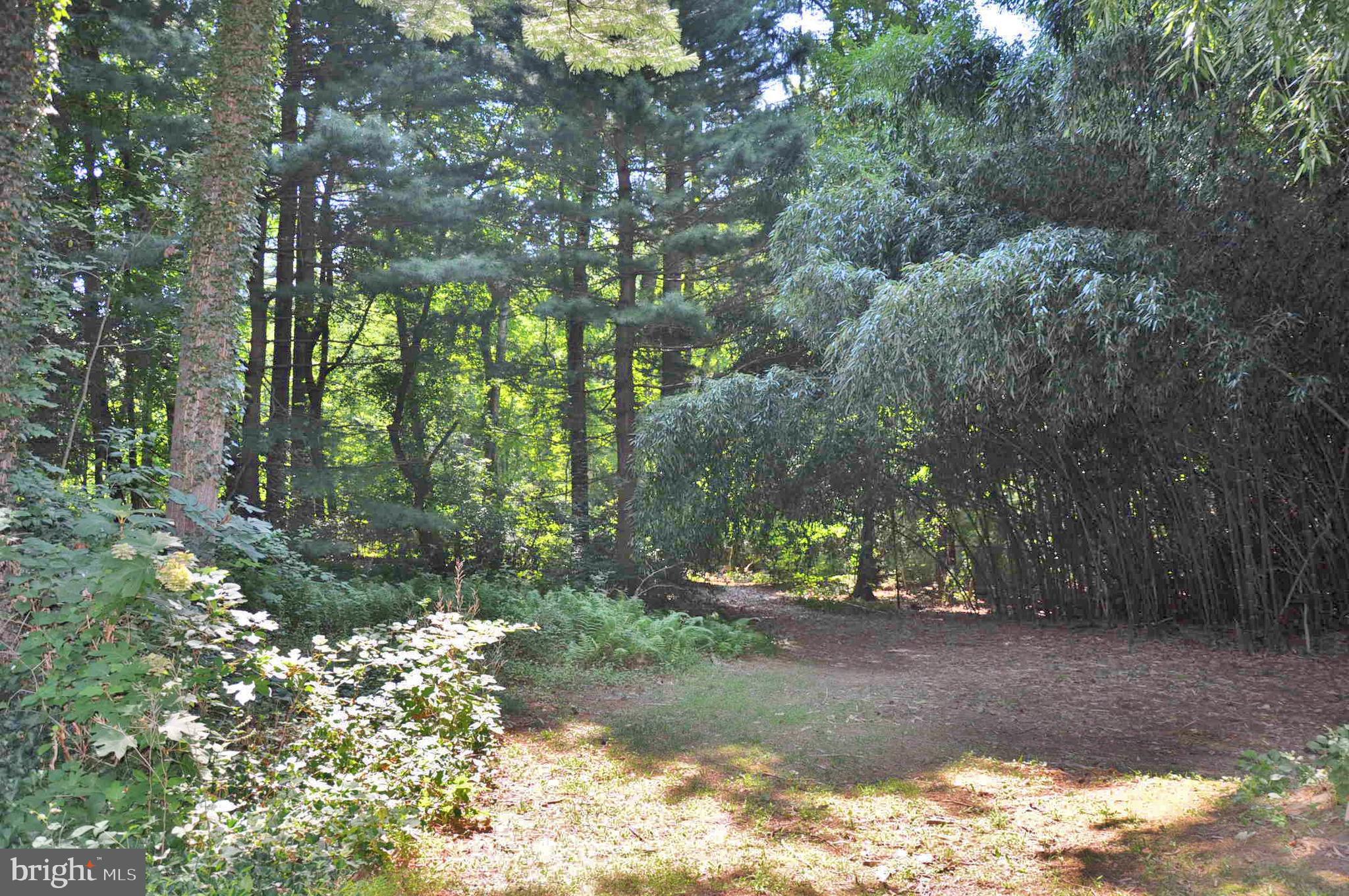 SNYDER PARK - Residential