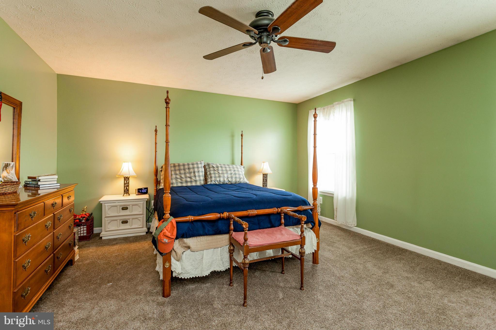 CASTLE BLANEY - Residential