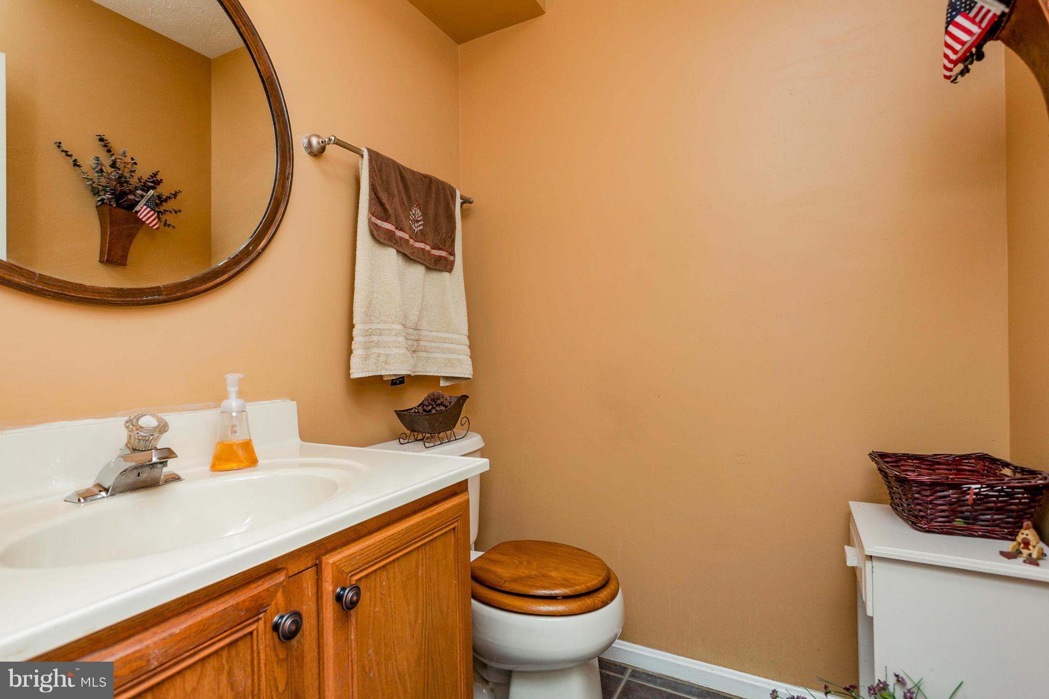 CASTLE BLANEY - Residential