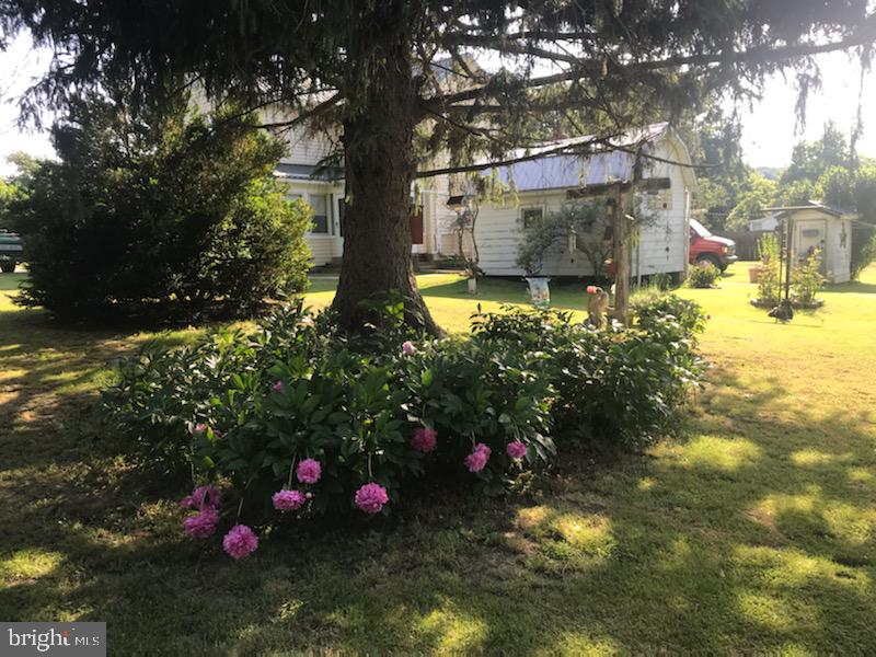 CACAPON VILLAGE - Residential