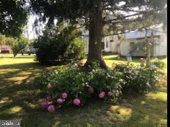 CACAPON VILLAGE - Residential