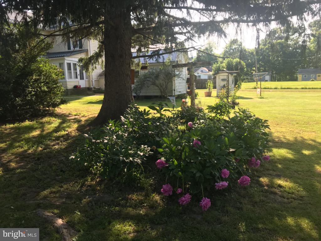 CACAPON VILLAGE - Residential