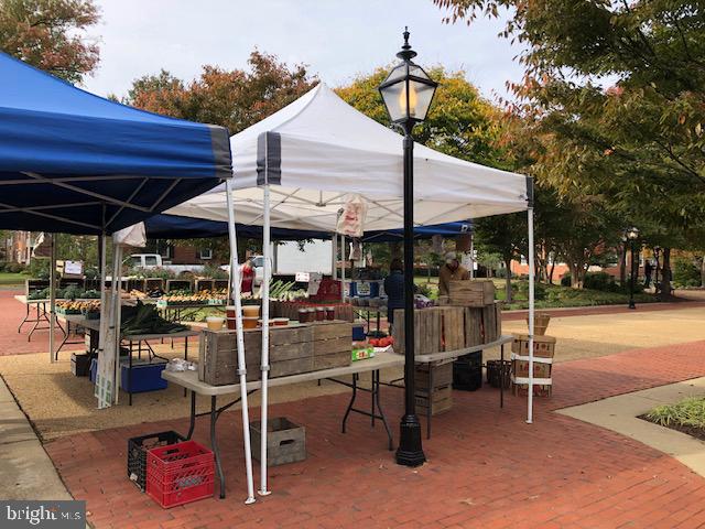 BELLE VIEW CONDOMINIUMS - Residential Lease