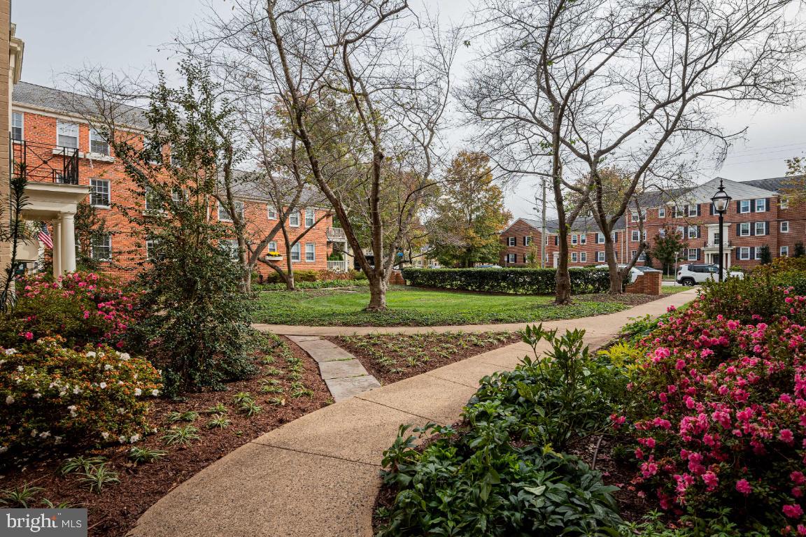 BELLE VIEW CONDOMINIUMS - Residential Lease