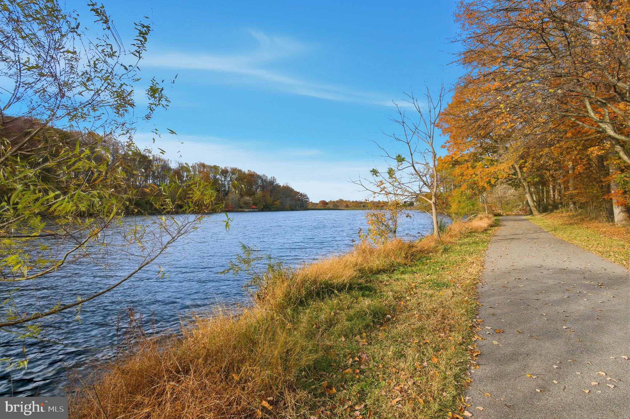 SWAN POINT - Residential Lease