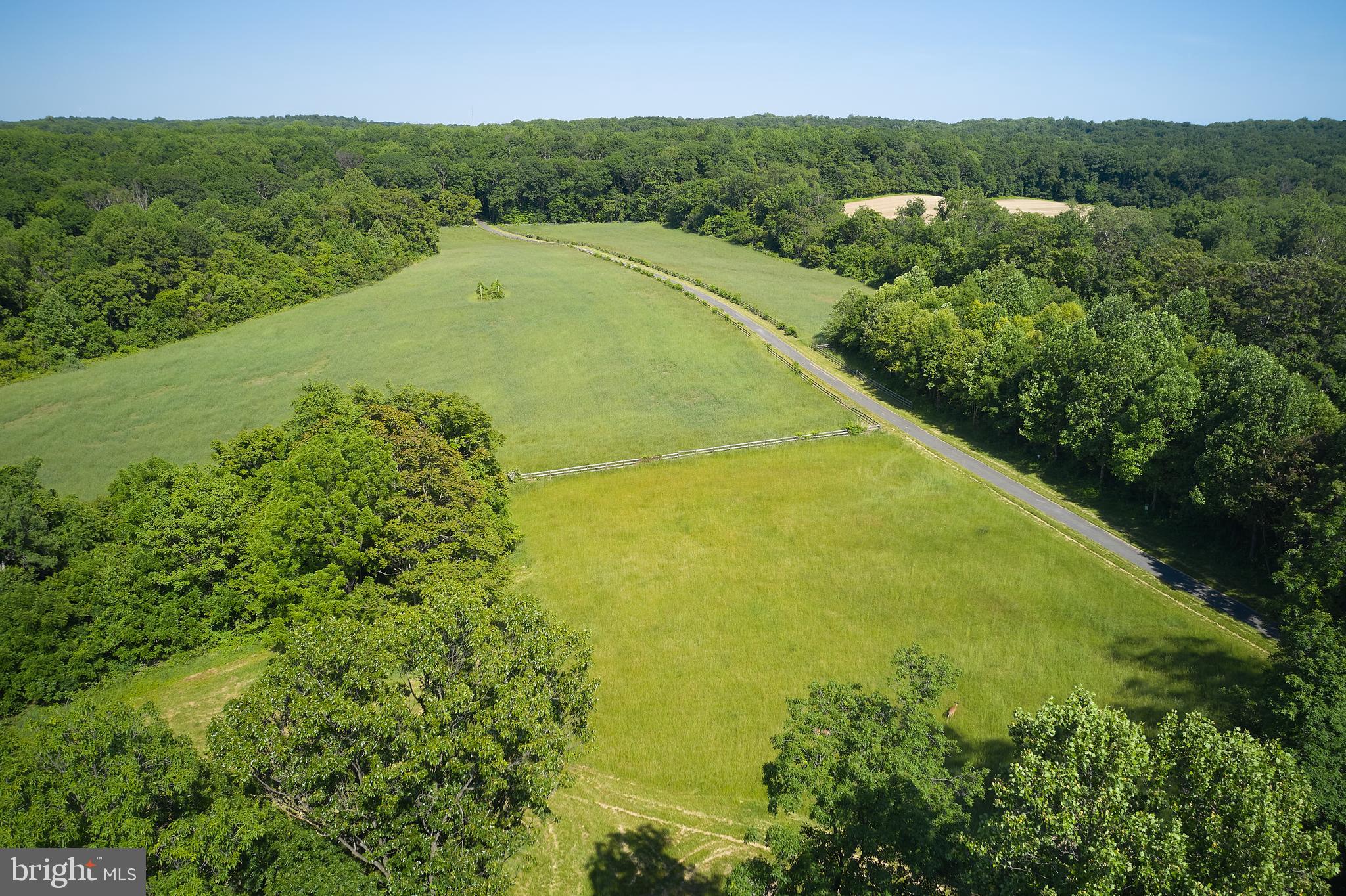 21050 BIG WOODS ROAD