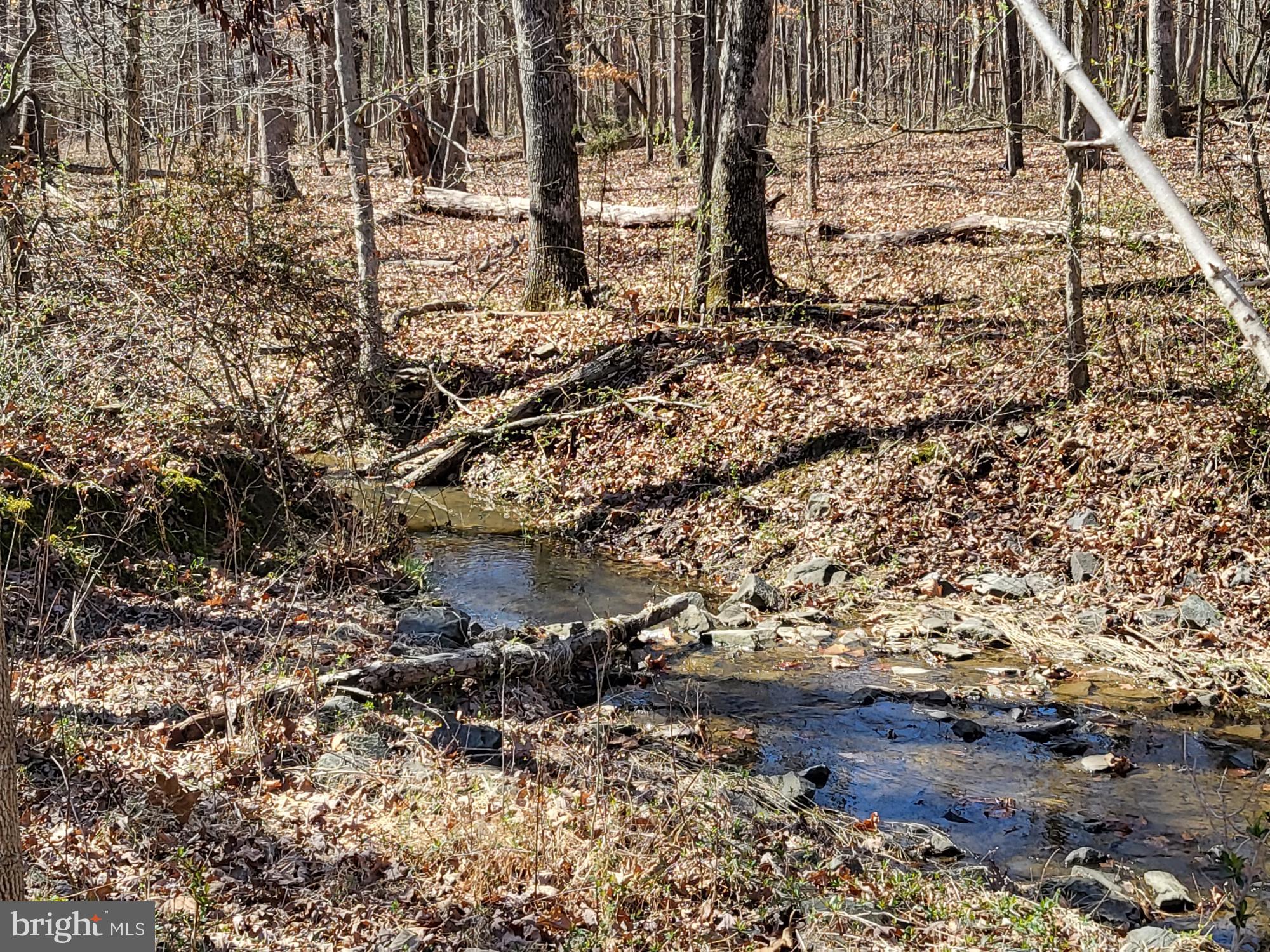 FOREST MANOR - Residential