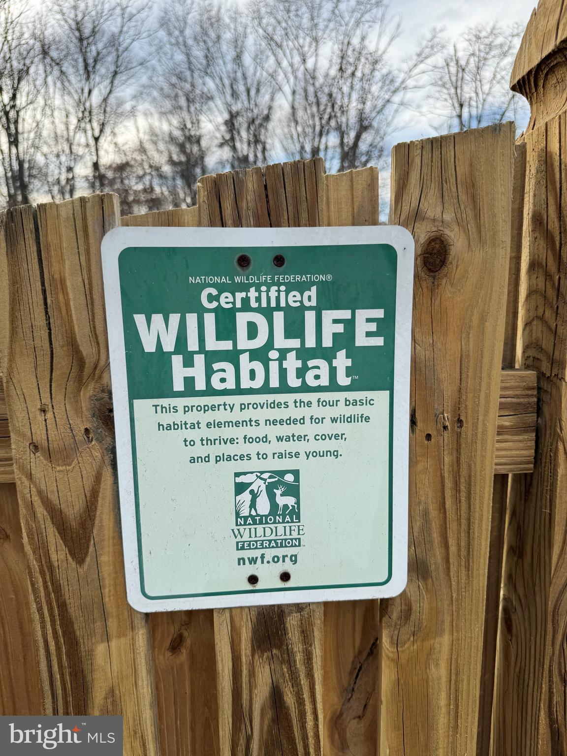 FOREST MANOR - Residential