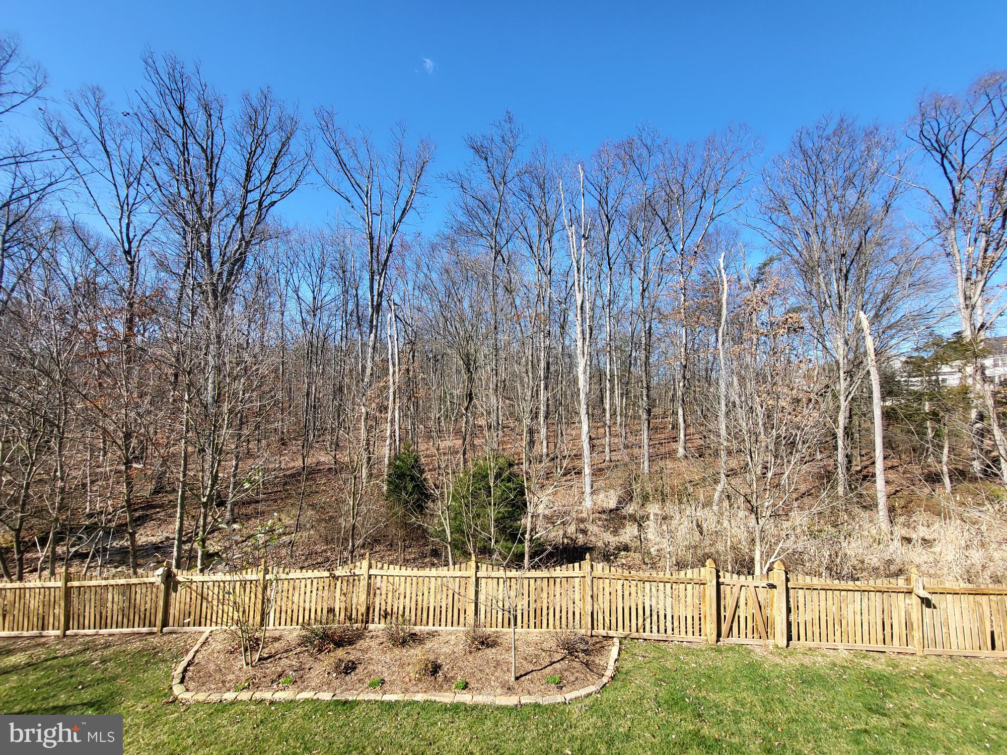 FOREST MANOR - Residential