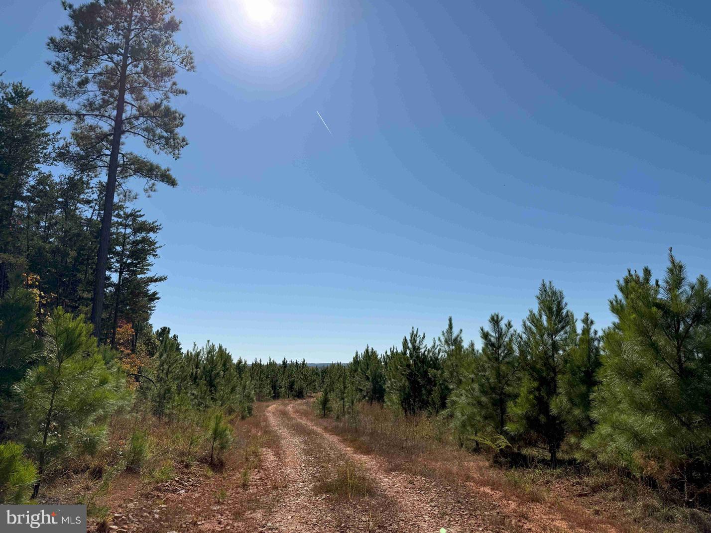 WOODFORK ROAD (RT. 650) (TRACT ROGERS-1)