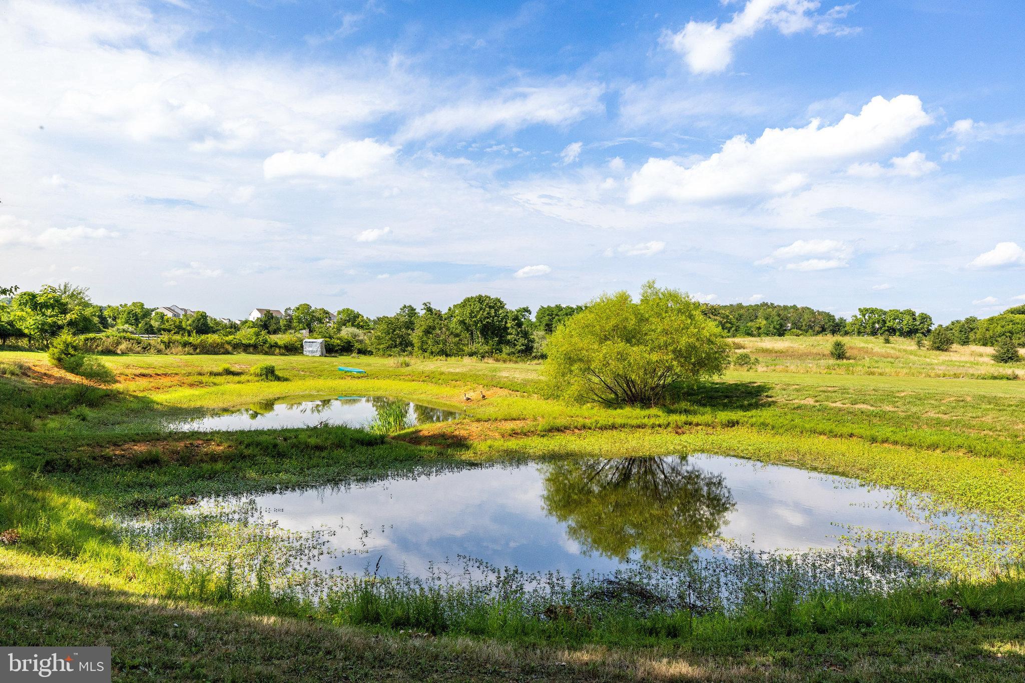 HISTORIC SELMA ESTATES - Residential
