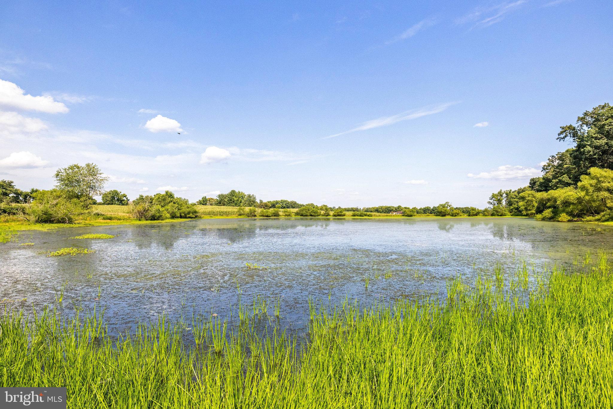 HISTORIC SELMA ESTATES - Residential